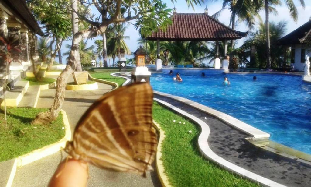 Bali Sunset Hotel Negara  Zewnętrze zdjęcie